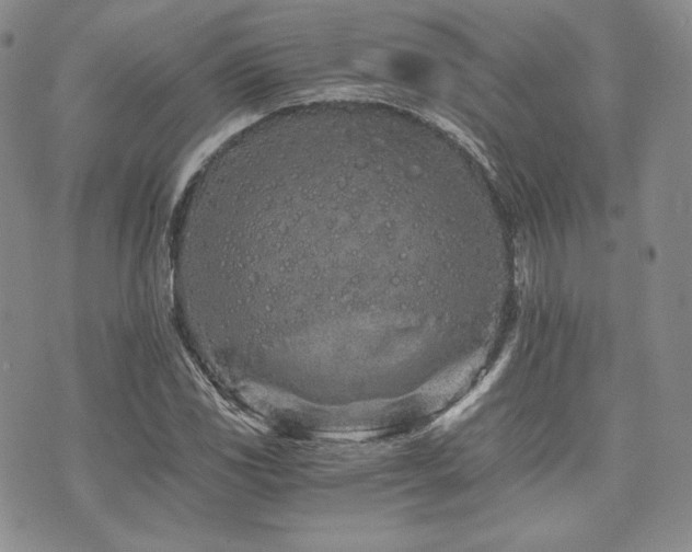 X0000073701117200608031207