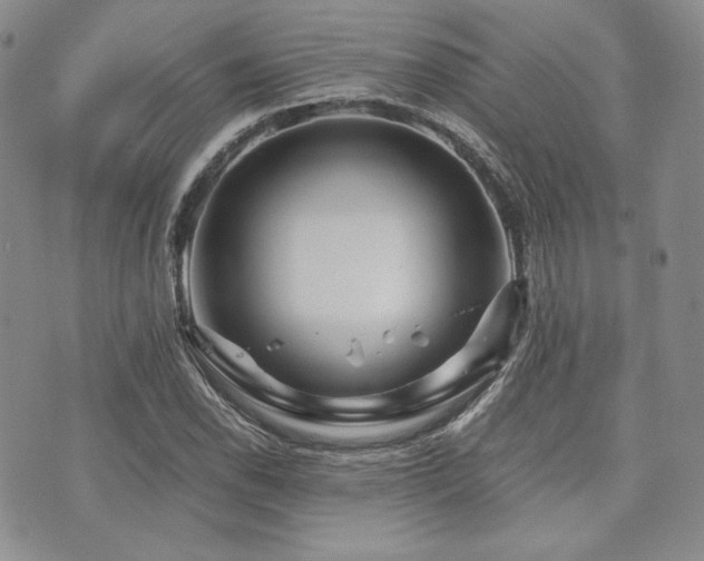 X0000073701118200608031207