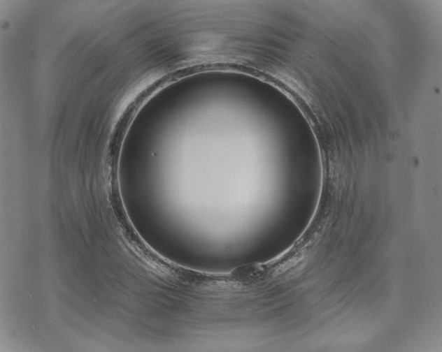 X0000073701119200608031207