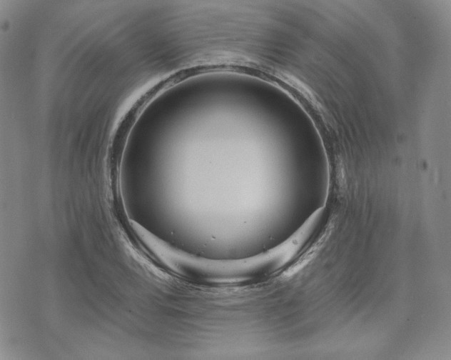 X0000073701120200608031208