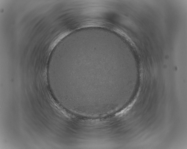 X0000073701121200608031208