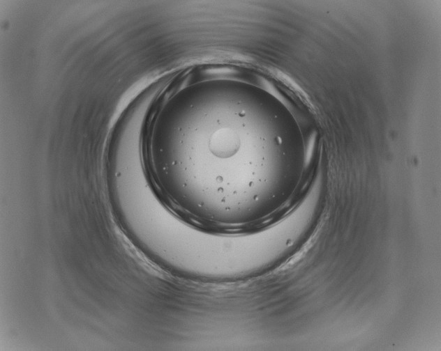 X0000073701122200608031208