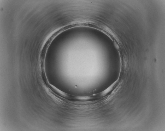 X0000073701124200608031208