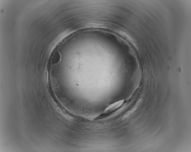 X0000073701125200608031208