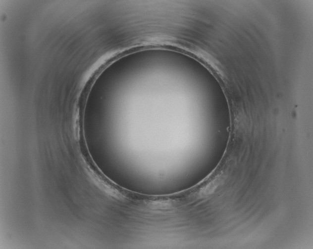 X0000073701126200608031208