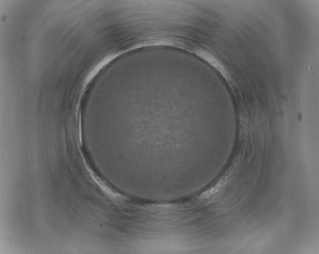 X0000073701127200608031208