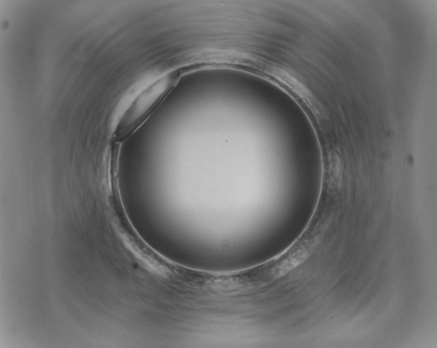 X0000073701128200608031208