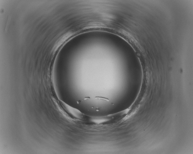 X0000073701129200608031208