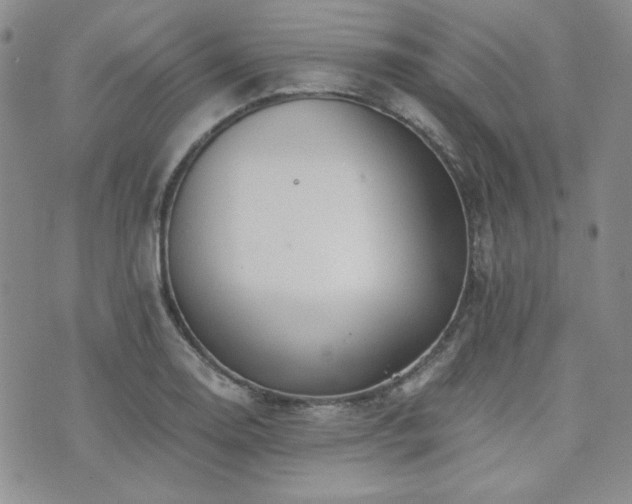 X0000073701130200608031208