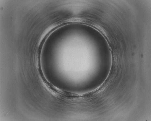 X0000073701131200608031208