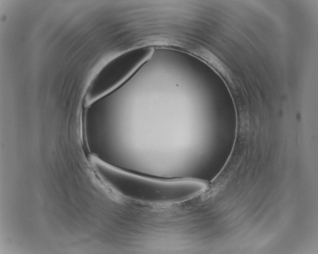 X0000073701132200608031208