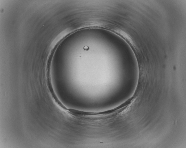 X0000073701135200608031208