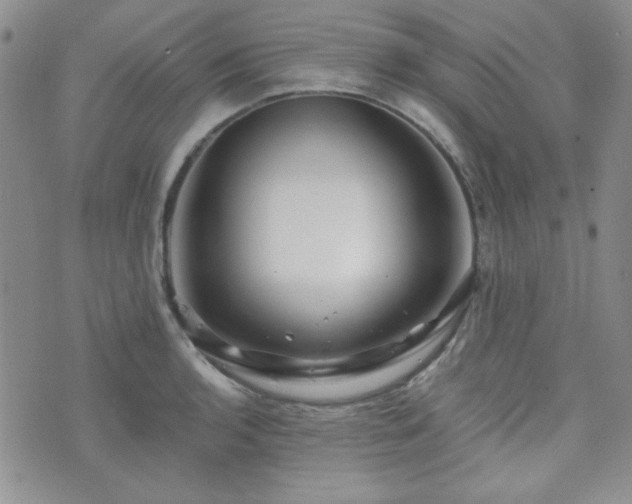 X0000073701136200608031208