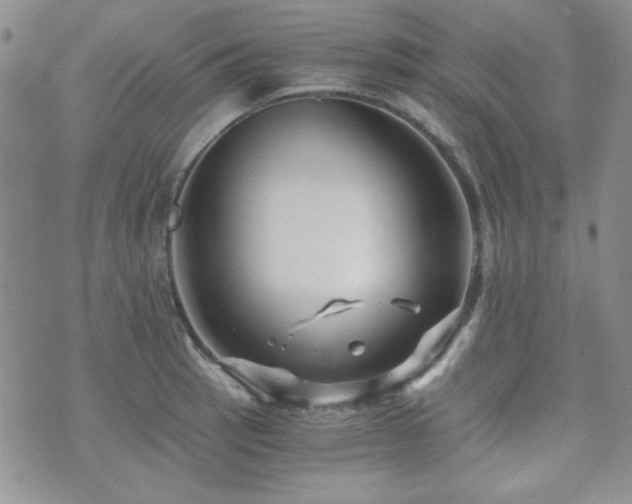 X0000073701137200608031208