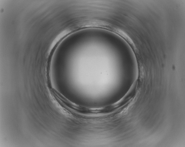 X0000073701138200608031208