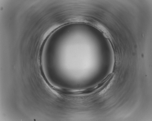 X0000073701141200608031208