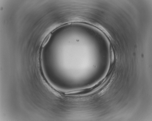 X0000073701142200608031208