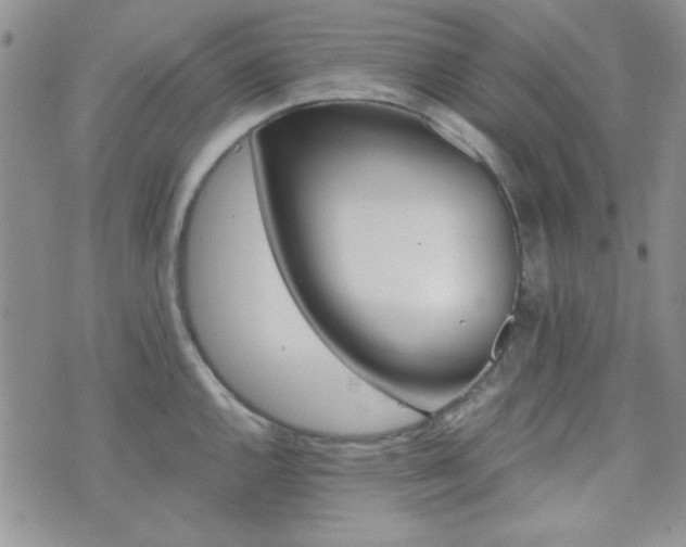 X0000073701144200608031208