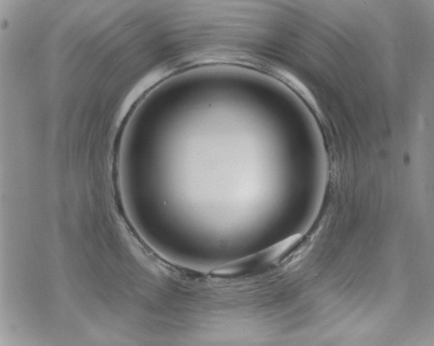 X0000073701146200608031208