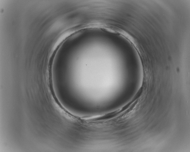 X0000073701147200608031208