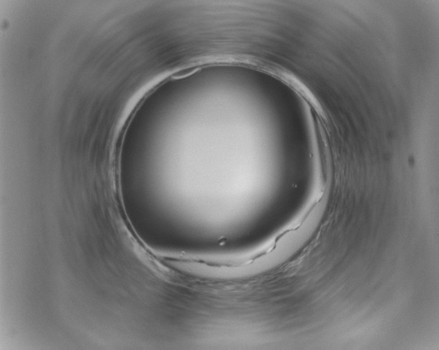 X0000073701148200608031208