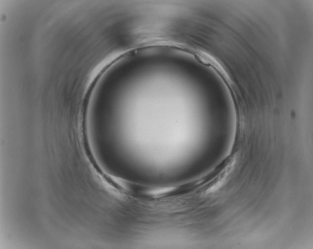 X0000073701149200608031208