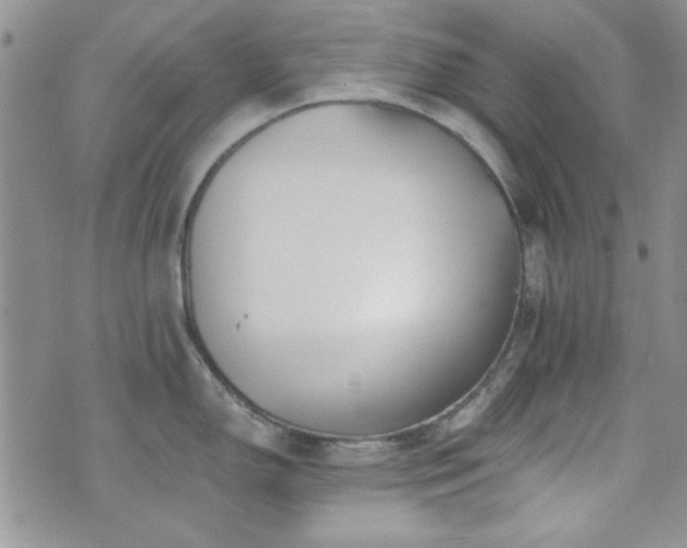 X0000073701150200608031208