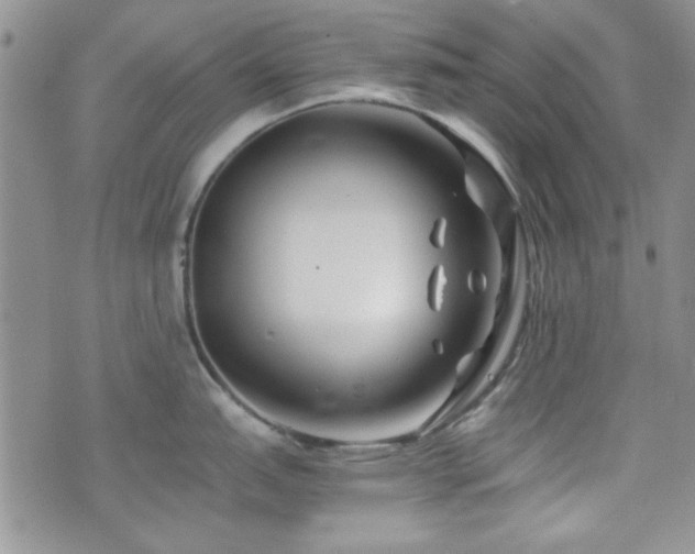 X0000073701151200608031208