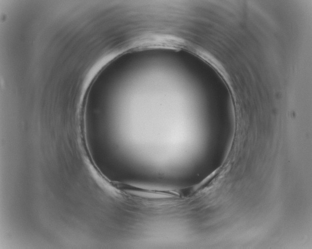 X0000073701152200608031208