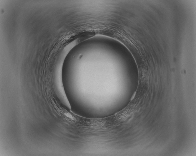 X0000073701153200608031207