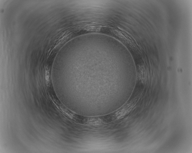 X0000073701154200608031207