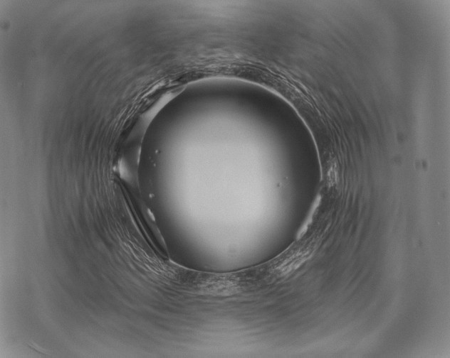 X0000073701156200608031207