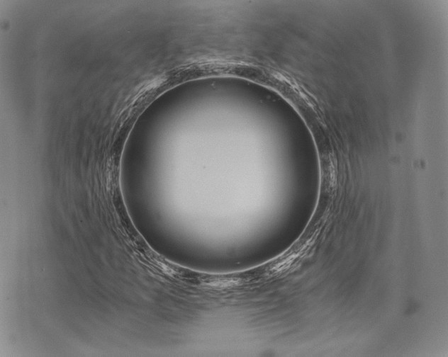 X0000073701157200608031207