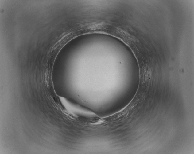 X0000073701158200608031207