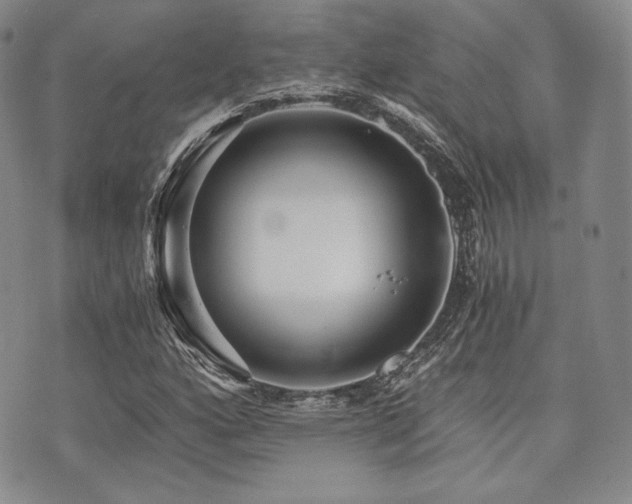 X0000073701160200608031207