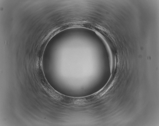 X0000073701161200608031207