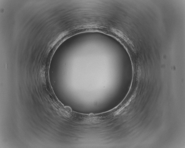 X0000073701162200608031207