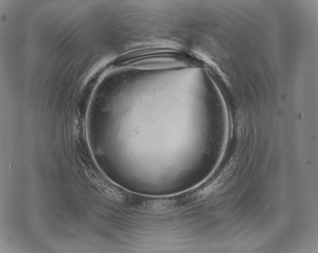 X0000073701163200608031207