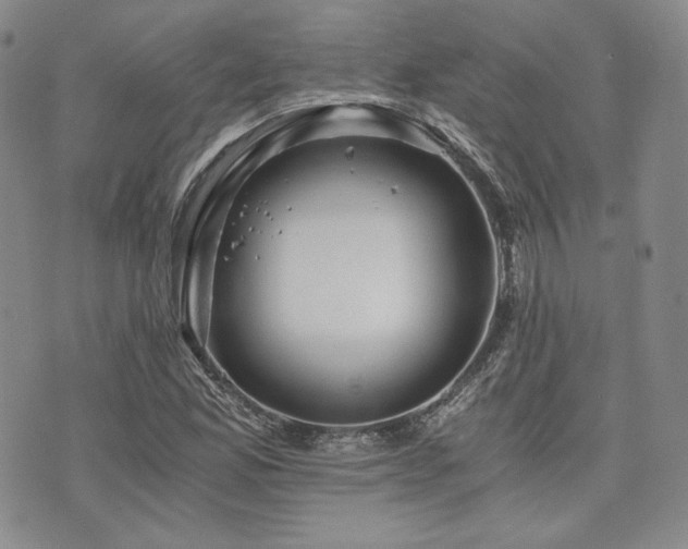 X0000073701165200608031207