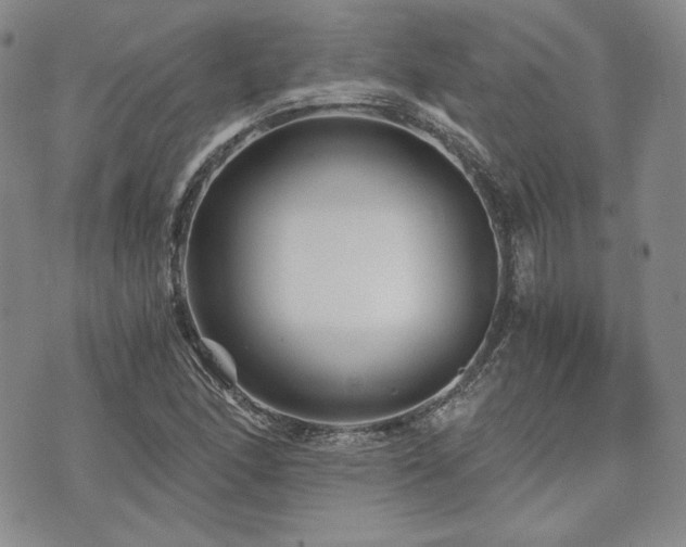 X0000073701166200608031207