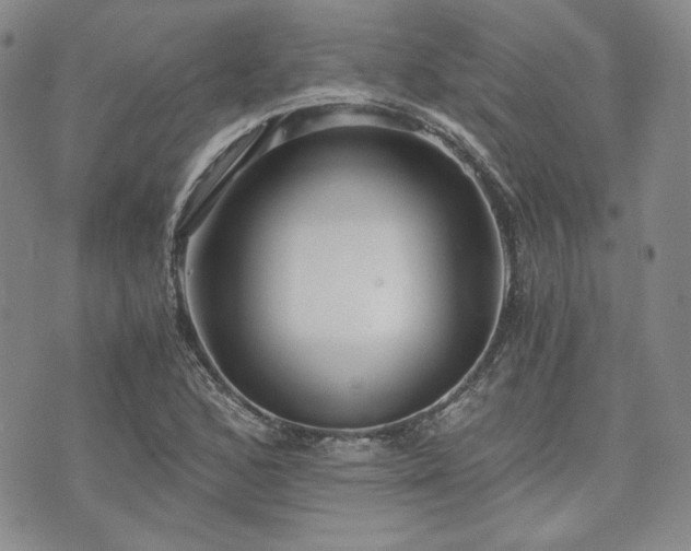 X0000073701168200608031207