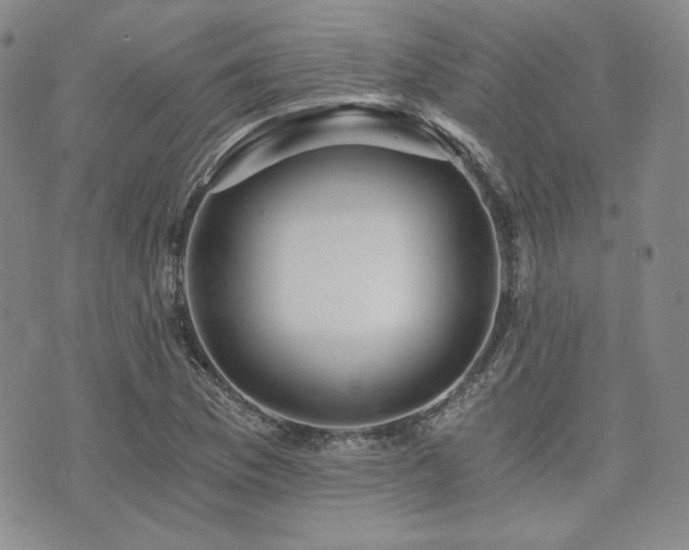 X0000073701169200608031207