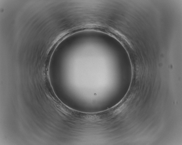 X0000073701170200608031207