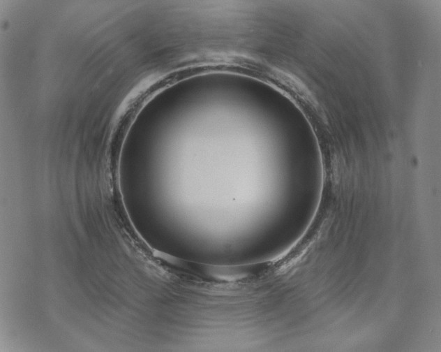 X0000073701172200608031207