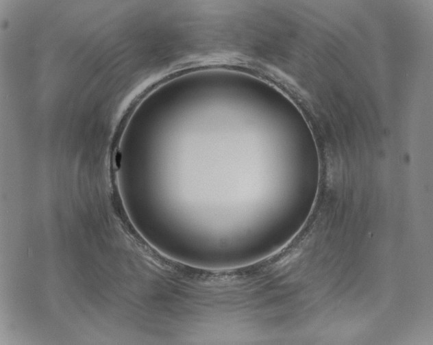 X0000073701174200608031207