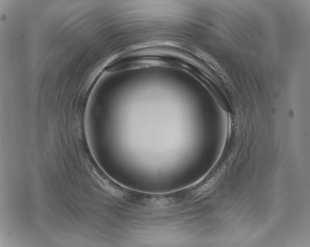 X0000073701177200608031207