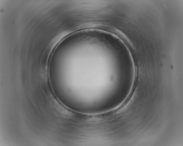 X0000073701178200608031207