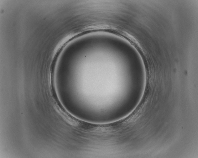 X0000073701179200608031207