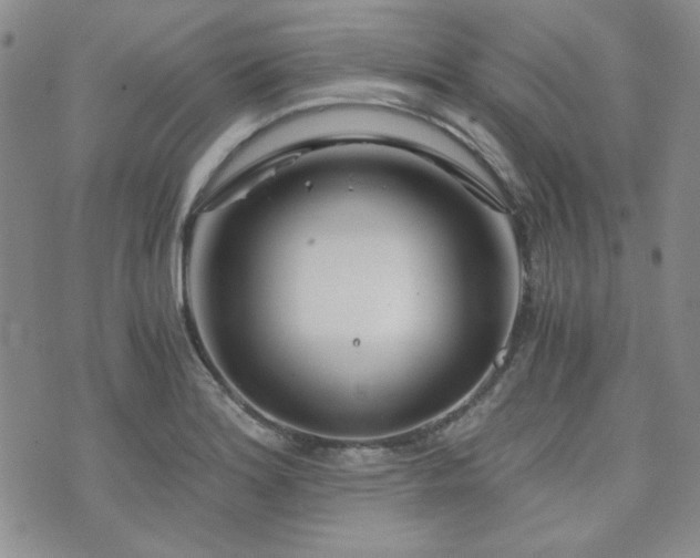 X0000073701180200608031207