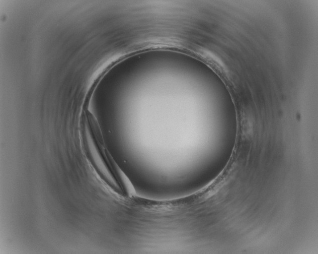 X0000073701182200608031207